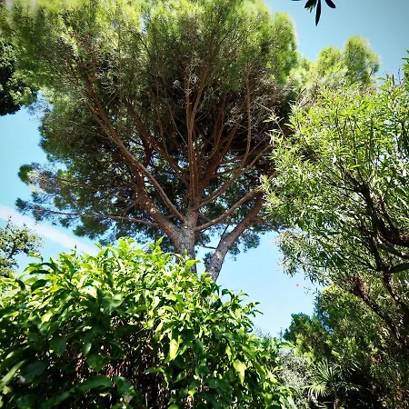Apartamento Panoramica Mulinetti Con Giardino Recco